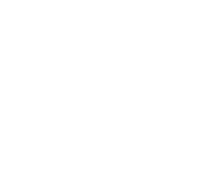 Dastgyr